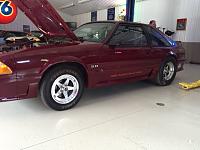 Click image for larger version

Name:	IHRA Mustang GT 11.JPG
Views:	546
Size:	114.1 KB
ID:	31813