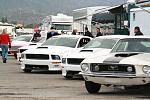 S/SS Mustangs