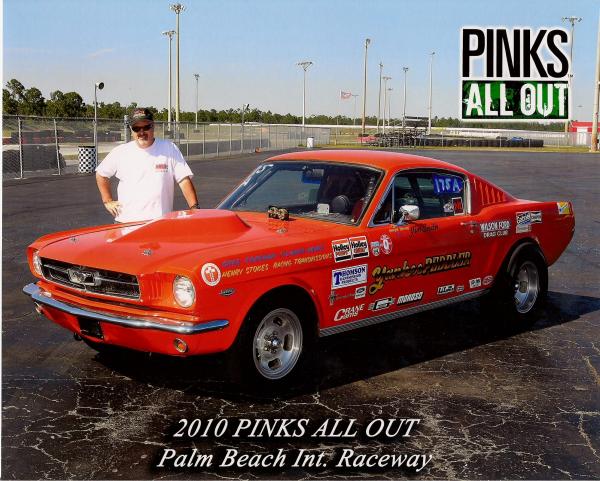 PINKS PBIR 2010 0046