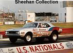 Sheehan"s race cars