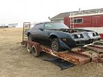 79 Firebird, our next project, eventually an IHRA crate motor stocker