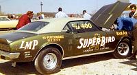 Click image for larger version

Name:	4 - Super Bird .jpg
Views:	89
Size:	181.1 KB
ID:	60600