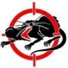 Rat Patrol's Avatar