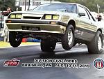 Don Anderson M/S L/X Mustang 5891